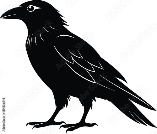 Raven Silhouette Vector, Raven Mysterious Bird