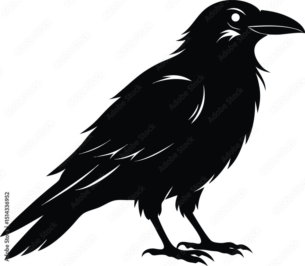 Fototapeta premium Raven Silhouette Vector, Raven Mysterious Bird