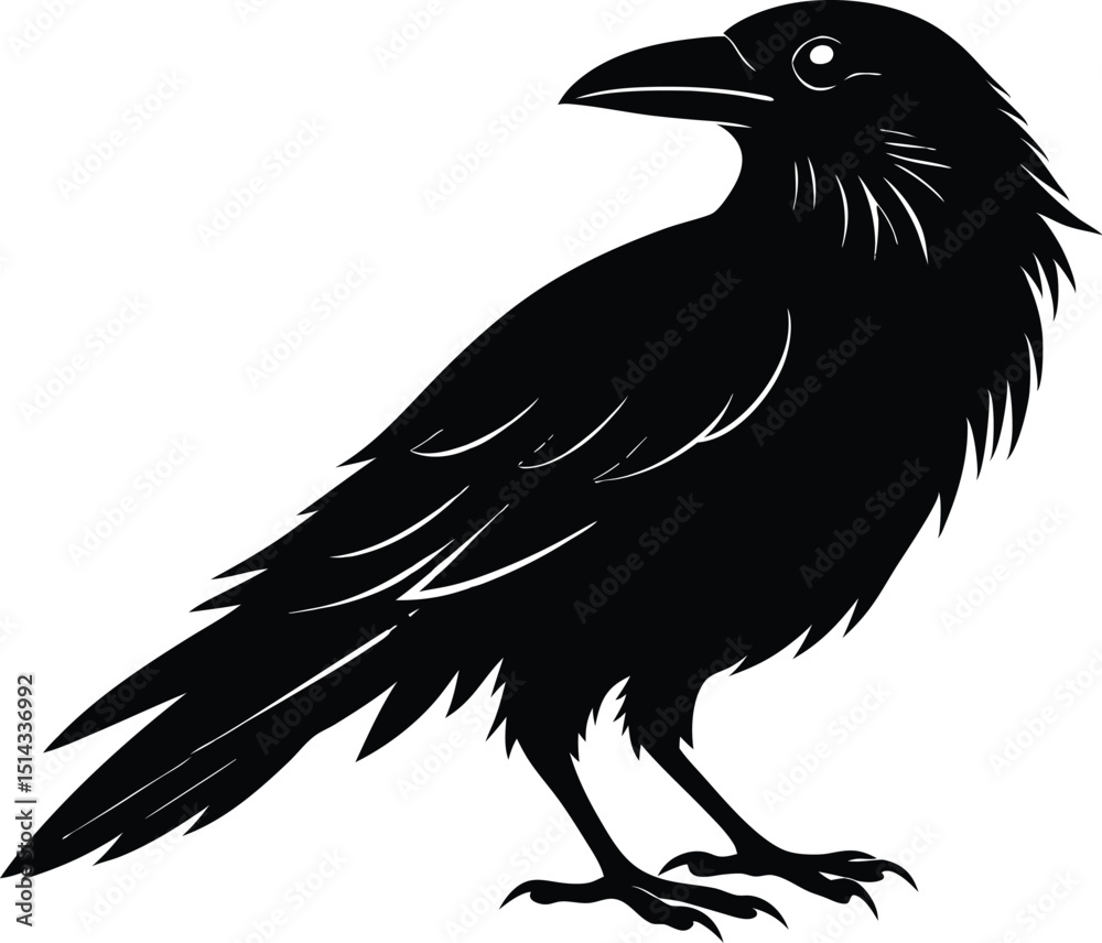 Obraz premium Raven Silhouette Vector, Raven Mysterious Bird
