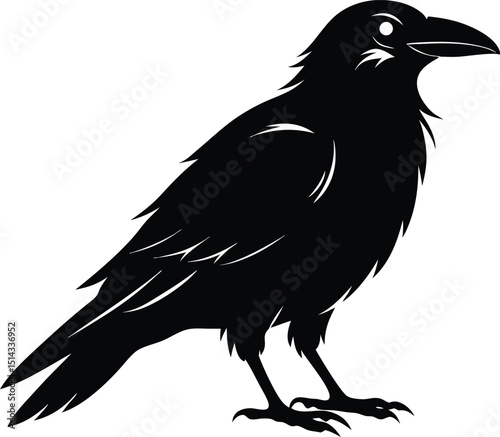 Raven Silhouette Vector, Raven Mysterious Bird