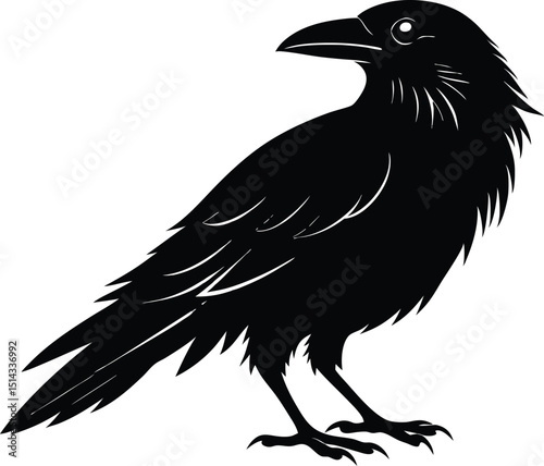 Raven Silhouette Vector, Raven Mysterious Bird