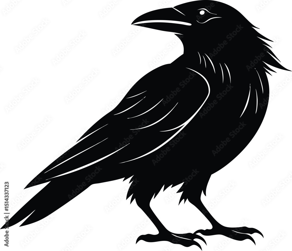 Fototapeta premium Raven Silhouette Vector, Raven Mysterious Bird