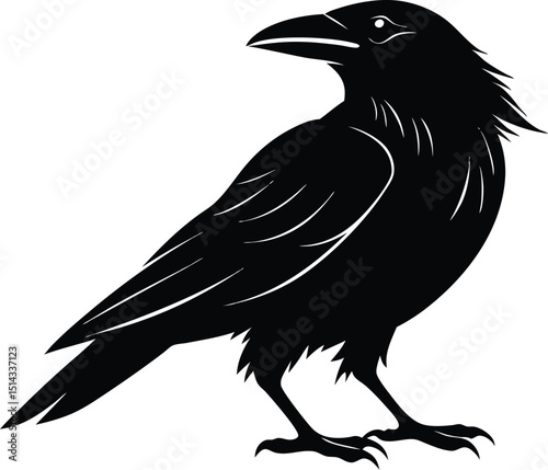 Raven Silhouette Vector, Raven Mysterious Bird