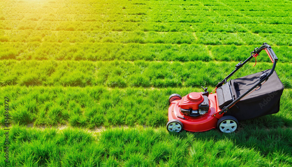 Fototapeta premium Lawn mower cutting grass in a sunny field during the day 