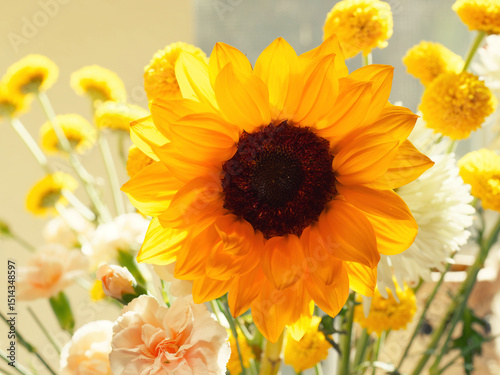 Flowers, apple tree flower, amaranth flower, sunflower, Bellis perennis, daisy, green leaves, green leave veins