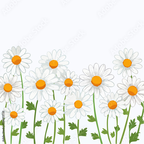 Bright daisies along the base, great for spring invitations or cheerful print layouts.