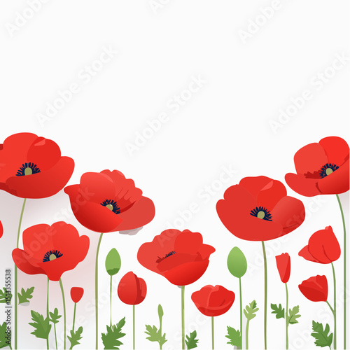 A frame of red poppies up the left and right edges, perfect for elegant spring or remembrance layouts.