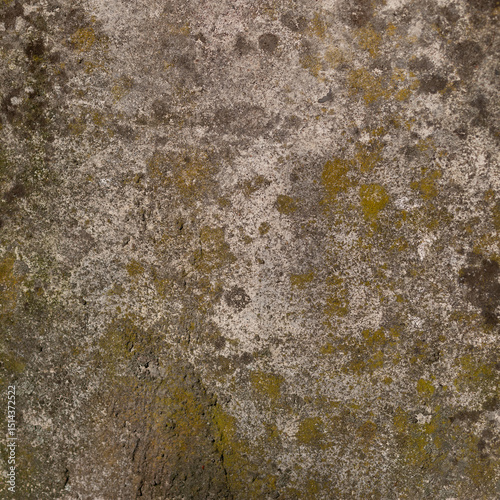 Texture of Weathered Surface With Moss Growth and Natural Patterns