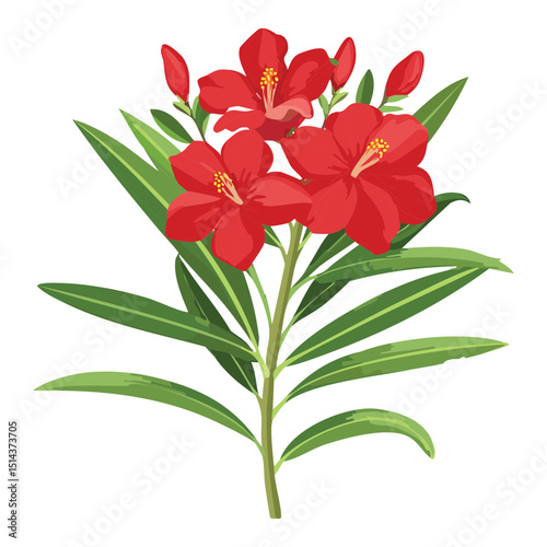 Bold Red Oleander Flower Graphics