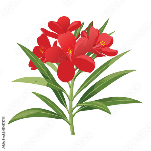 Classic Red Oleander Blooms Art