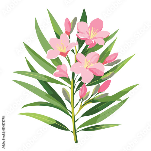 Blooming Pink Oleander with Foliage