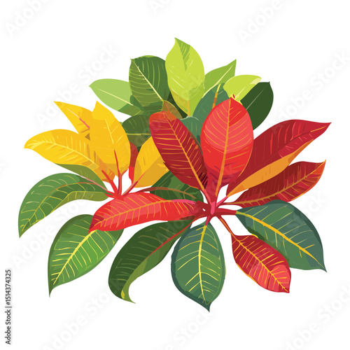 Striking Autumn Leaf Plant Illustration