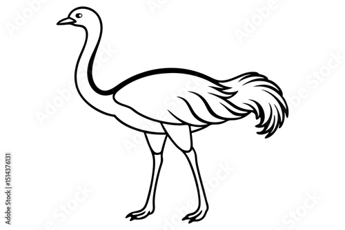 Standing Ostrich Vector Line Drawing