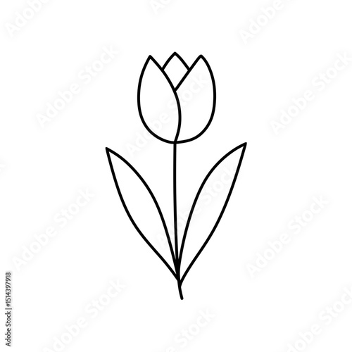 Flower line vector illustration