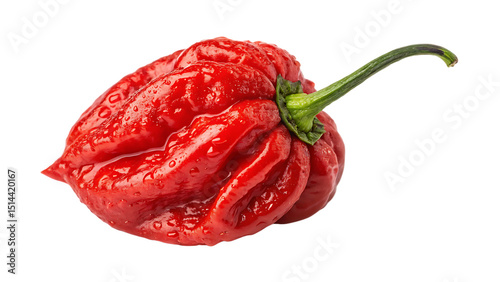 Extreme Red Carolina Reaper Chili Pepper Isolated on White