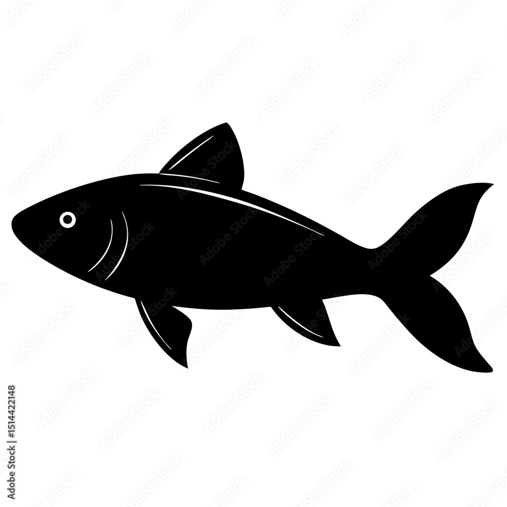 fish isolated on white background fish isolated on white background