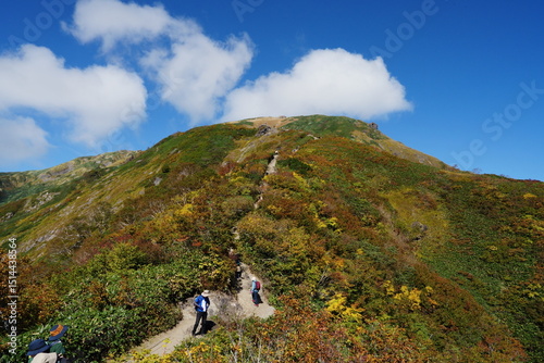 Mountain trails on Mt. Tanigawa during autumn foliage season