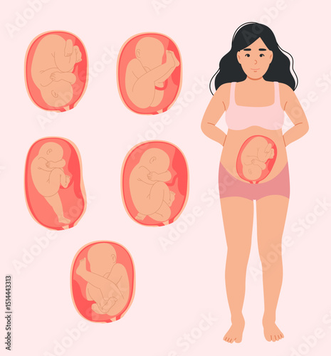 Birth position of the fetus