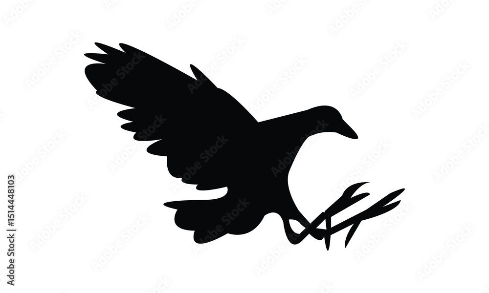 Obraz premium Flying Allen's gallinule bird Silhouette Design And Vector Illustration. 