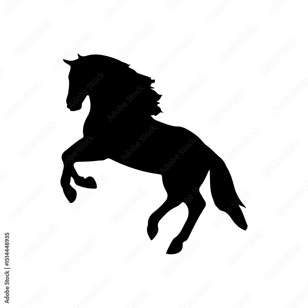 Fototapeta premium black horse isolated on white
