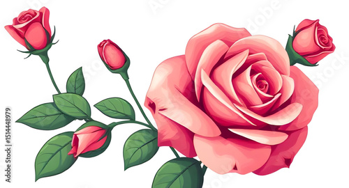 Pink rose perfect bloom, Pink rose high resolution, Pink rose bouquet single, Pink rose art, Pink rose floral design, Pink rose garden flower, Pink rose top view, Pink rose side view, Pink rose bright