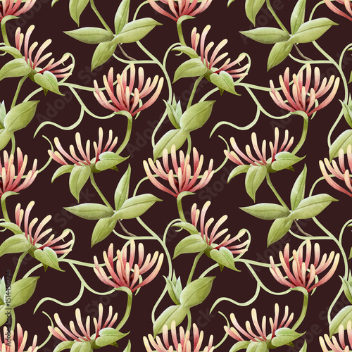 Honeysuckle flower blossom watercolor seamless pattern on dark brown. Pastel yellow and pink garden blooming vine plant for spring and summer floral nature designs. Elegant hedge repeat background