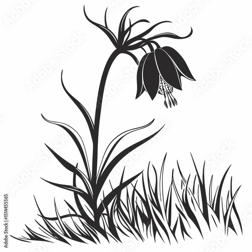 vector illustration of crown imperial
