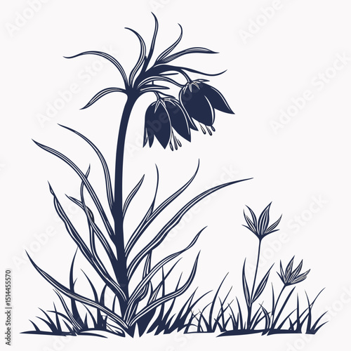 grass and crown imperial