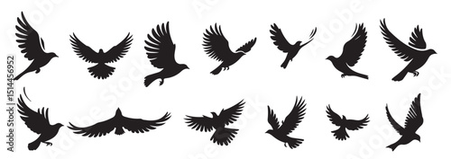 flying birds silhouette vector illustration