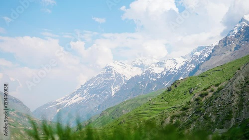 4K shot of fluffy clouds above the snowy Himalayan mountain peaks during the summer season with defocused green grass moving due to strong winds at Sissu village in Lahaul, Himachal Pradesh, India.