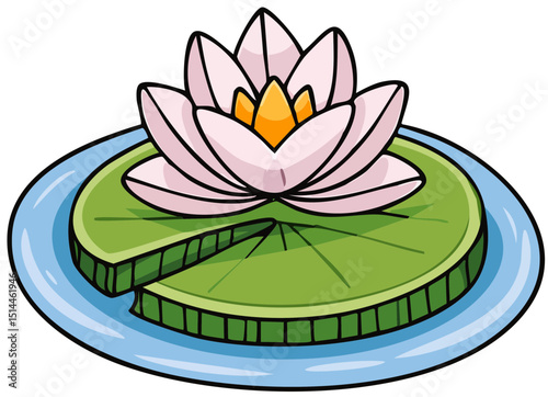 Lily Pad with Flower