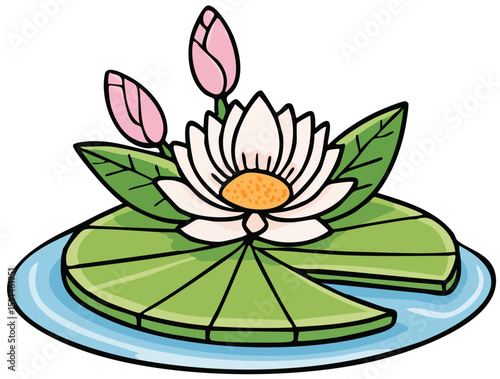Pink Lotus Blossom
