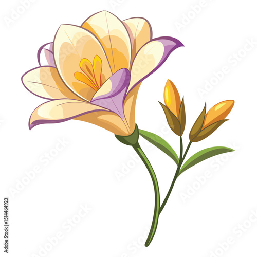 Vibrant Freesia Flower illustration with delicate full bloom petals