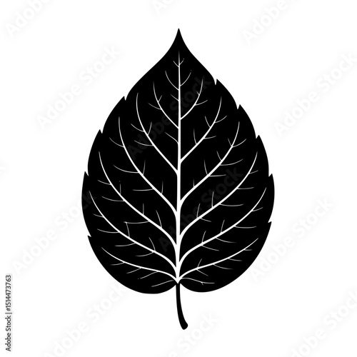 Black silhouette of a leaf with detailed vein structure
