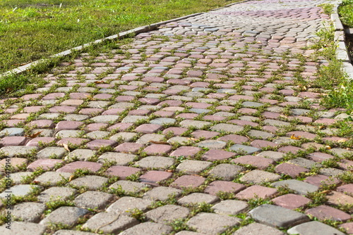 stone path in the garden