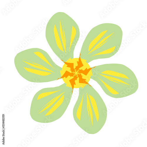 yellow flower isolated on white background