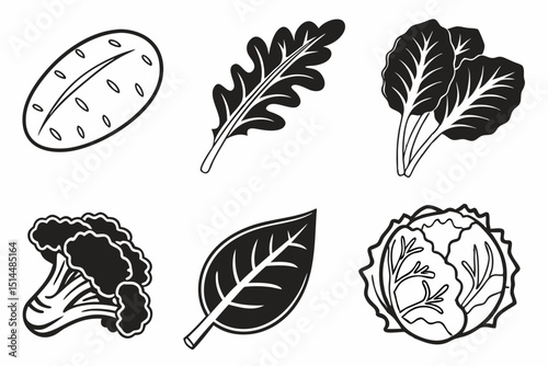 set of different vegetables