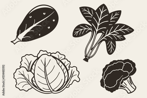 hand drawn vector illustration of vegetables