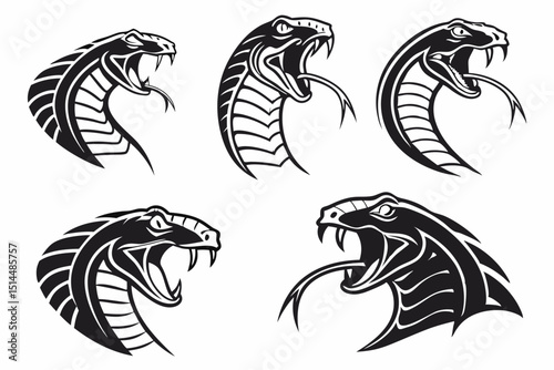 vector set of tribal tattoos