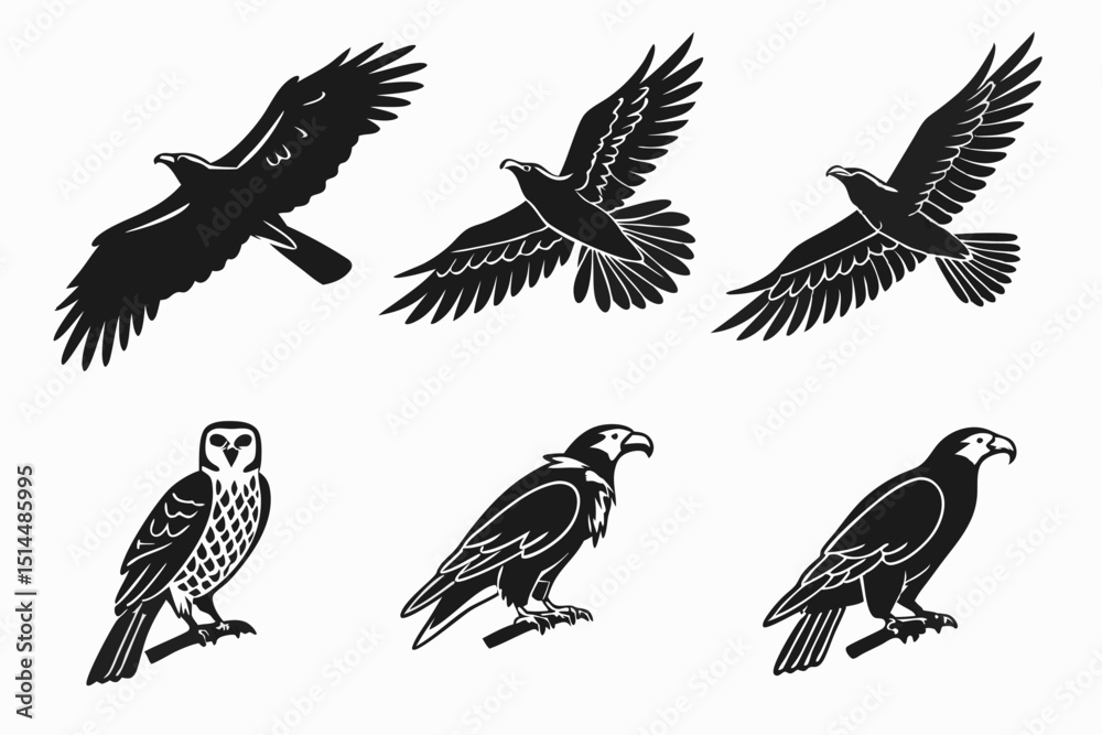 Fototapeta premium eagle vector illustration