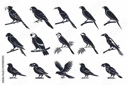 set of birds