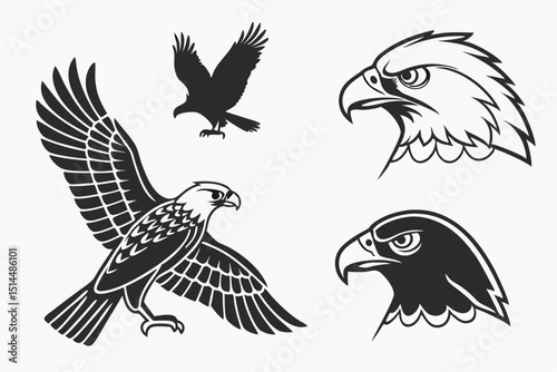 eagle
