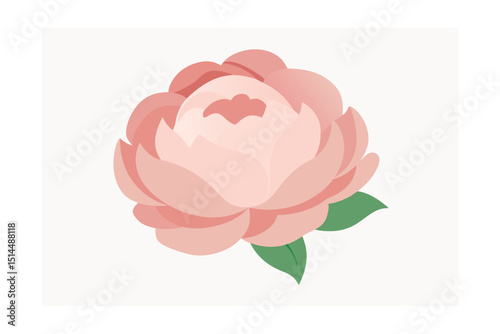 Single peony bloom soft tone vector art illustration