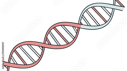 dna strand on white background.png