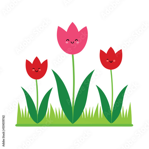 red tulips on white background
