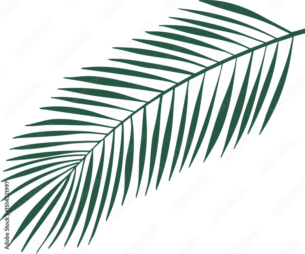 Obraz premium 야자수