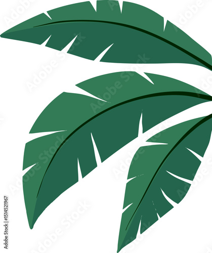잎