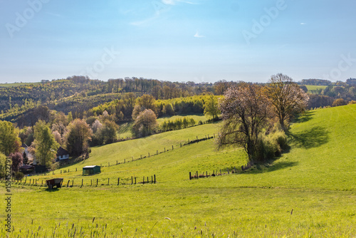 Frühlingslandschaft