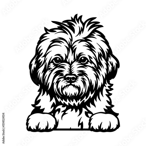 Goldendoodle Dog - Peeking Dog Breed - Pet Dog Vector Portrait, Dog Silhouette Stencil