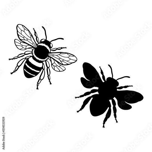 bee